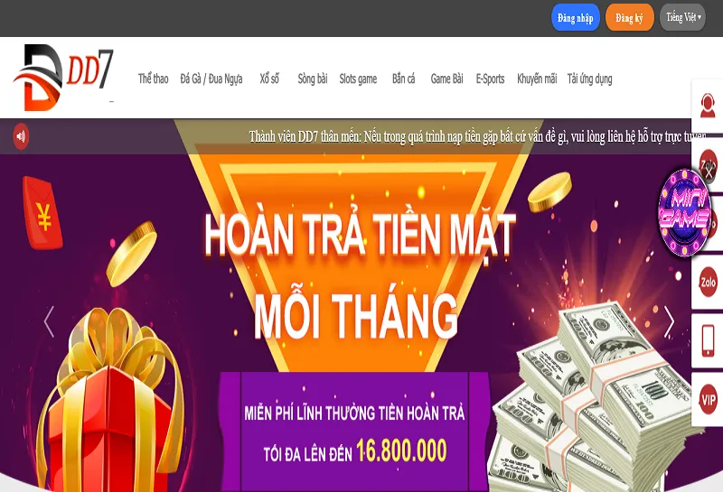 DD7 - Hệ thống cá cược hàng đầu Việt Nam