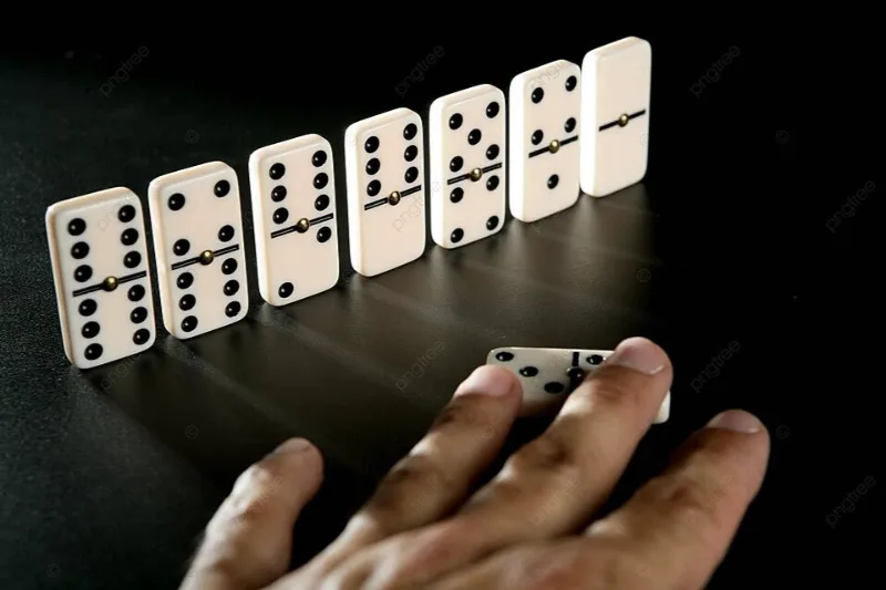 Phân biệt các loại domino phổ biến